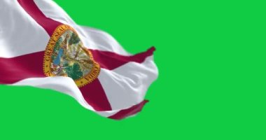 Yeşil arka planda Florida bayrağının dalgalandığı yakın plan görüntüsü. Kusursuz 3D canlandırma animasyonu. Yeşil ekran mat. Alfa kanalı. Krom anahtar. Yavaş çekim döngüsü. Seçici odak
