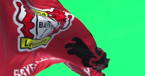 Leverkusen Aprt 2023 Флаг Байера Леверкузена Развевается Изолированно Зеленом Фоне — стоковое видео