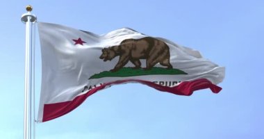 California Eyaleti bayrağı açık havada rüzgarda sallanıyor. Kaliforniya bayrağı aynı zamanda Ayı Bayrağı 'dır. Kusursuz 3 boyutlu animasyon. Yavaş çekim döngüsü. Kanat çırpan kumaş. Yakın plan.