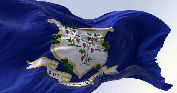 康涅狄格州国旗飘扬的近景 蓝色背景的白色盾牌 有三棵葡萄藤 每棵葡萄树上都有成串的葡萄 纹理背景 3D演示图 — 图库照片