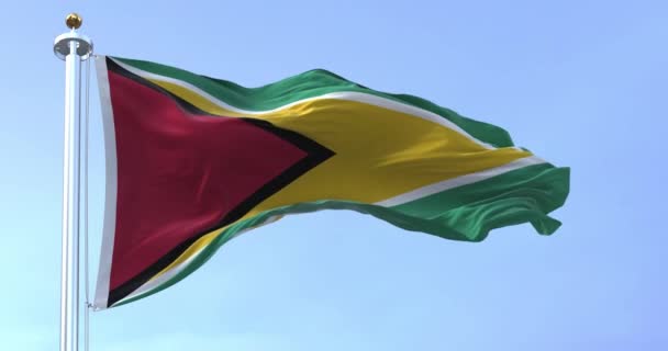 Guyana Ulusal Bayrağı Rüzgarda Dalgalanıyor Güney Amerika Nın Kuzey Anakarası — Stok video