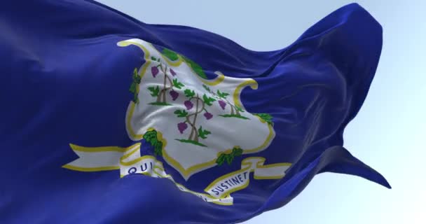 コネチカット州旗がなびく ブルーを基調としたホワイトシールドには ブドウの房ごとに3つのブドウが植えられています 3Dレンダリングアニメーション スローモーションループ フラッタリング生地 — ストック動画
