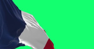 Fransa ulusal bayrağı yeşil arka planda izole bir şekilde dalgalanıyor. Kusursuz 3D canlandırma animasyonu. Yeşil ekran. Krom anahtar. Yavaş çekim döngüsü. Seçici odaklanma. 4K çözünürlüğü