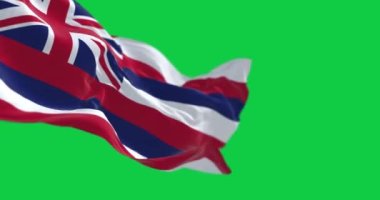 Hawaii eyaleti bayrağı yeşil arka planda izole bir şekilde dalgalanıyor. Kusursuz 3D canlandırma animasyonu. Yeşil ekran. Krom anahtar. Yavaş çekim döngüsü. Seçici odaklanma. 4K çözünürlüğü