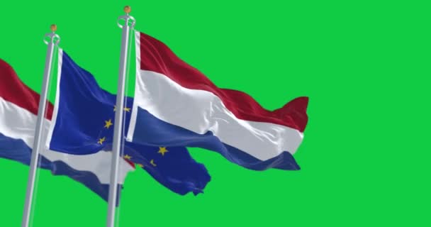 オランダと欧州連合の旗は緑の背景に孤立して振れていた シームレスな3Dレンダリングアニメーション 緑の画面だ クロマキー スローモーションループ 選択的フォーカス 4K解像度 — ストック動画