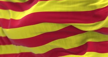 Rüzgarda sallanan katalonya bayrağı. İspanya Özerk Topluluğu. Sarı alanda dört kırmızı şerit. Kusursuz 3 boyutlu animasyon. Yavaş çekim döngüsü. Seçici odaklanma. Kanat çırpan kumaş. Yakın plan.
