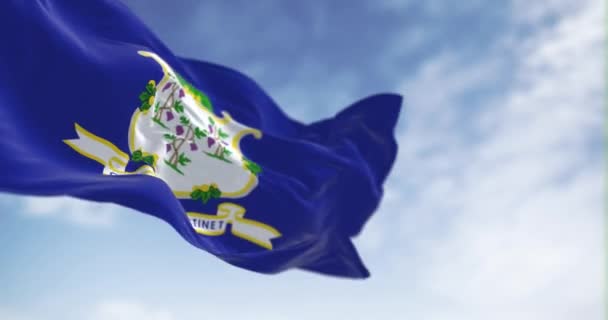 코네티컷 국기가 흔들렸다 바다없는 렌더링 애니메이션 슬로우 선택적 집중입니다 물기있는 — 비디오