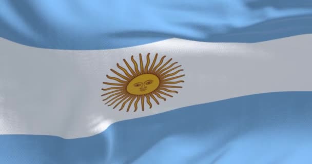 Аргентинський Національний Прапор Пурхає Вітрі Три Рівні Блакитні Білі Горизонтальні — стокове відео