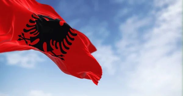 Albansk Nationalflagga Viftar Vinden Klar Dag Röd Flagga Med Svart — Stockfoto