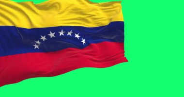Venezuela ulusal bayrağı yeşil bir arka planda izole halde dalgalanıyor. Kusursuz 3D canlandırma animasyonu. Yeşil ekran. Krom anahtar. Yavaş çekim döngüsü. Cinema 4K çözünürlüğü