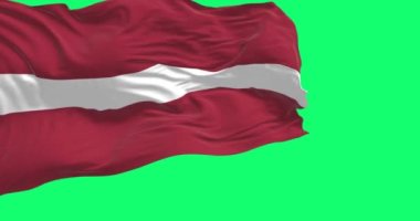 Letonya ulusal bayrağı rüzgarda dalgalanırken yeşil bir arka planda izole edildi. Kusursuz 3D canlandırma animasyonu. Yeşil ekran. Krom anahtar. Yavaş çekim döngüsü. Cinema 4K çözünürlüğü
