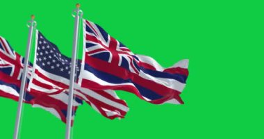 Hawaii ve Amerika Birleşik Devletleri bayrakları yeşil arka planda izole halde sallanıyor. Kusursuz 3D canlandırma animasyonu. Yeşil ekran. Krom anahtar. Yavaş çekim döngüsü. Seçici odaklanma. Cinema 4K çözünürlüğü