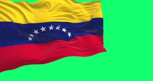 Venezuelas Nationalflagge Weht Vereinzelt Auf Grünem Hintergrund Nahtlose Renderanimation Grüner — Stockvideo