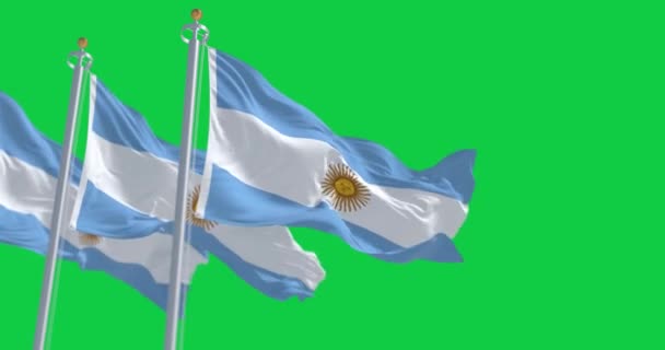 Три Аргентинські Прапори Махають Зеленим Фоном Безшумний Рендеринг Анімації Зелений — стокове відео