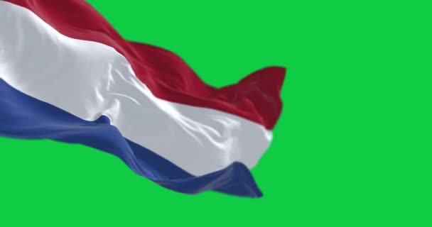 Bandiera Olandese Sventola Isolata Uno Sfondo Verde Paesi Europei Animazione — Video Stock