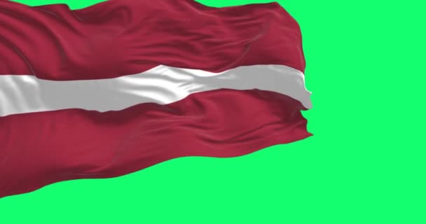 라트비아의 국기가 바람에 흔들리며 배경에 고립되어 있었습니다 렌더링 애니메이션 크로마 — 비디오