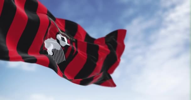 Bournemouth Reino Unido Octubre 2022 Afc Bournemouth Flag Waving Club — Vídeo de stock