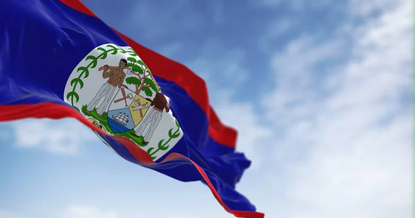 Belize Bandiera Nazionale Sventola Nel Vento Una Giornata Limpida Campo — Foto Stock