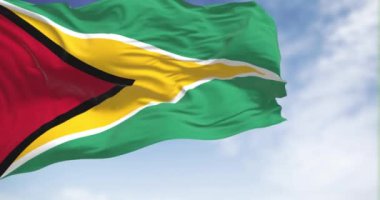Açık havada rüzgarda dalgalanan Guyana ulusal bayrağının yakın çekim görüntüsü. Güney Amerika 'nın kusursuz 3D canlandırması. Yavaş çekim döngüsü. Kanat çırpan kumaş. 4k