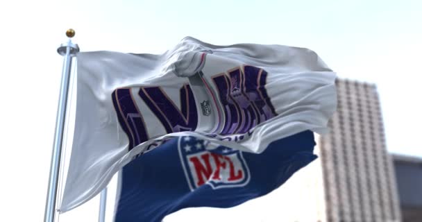Παράδεισος Ηπα Ιουνίου 2023 58Ο Super Bowl Και Σημαίες Nfl — Αρχείο Βίντεο
