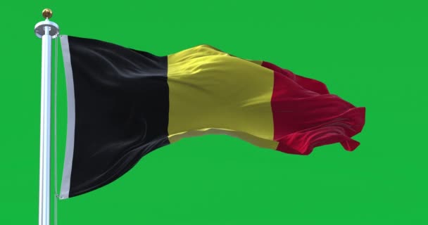 Bandera Nacional Bélgica Ondeando Pantalla Verde Tres Bandas Verticales Iguales — Vídeos de Stock