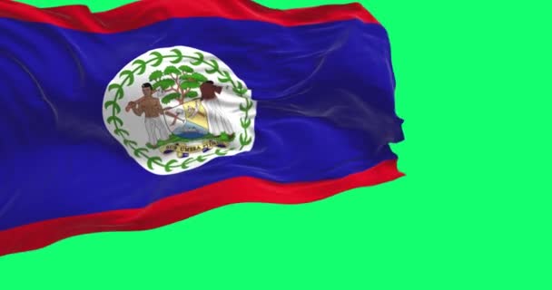 Μπελίζ Εθνική Σημαία Κυματίζει Στην Πράσινη Οθόνη Μπλε Πεδίο Κόκκινες — Αρχείο Βίντεο