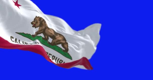 Die Flagge Des Bundesstaates Kalifornien Weht Vereinzelt Auf Blauem Hintergrund — Stockvideo