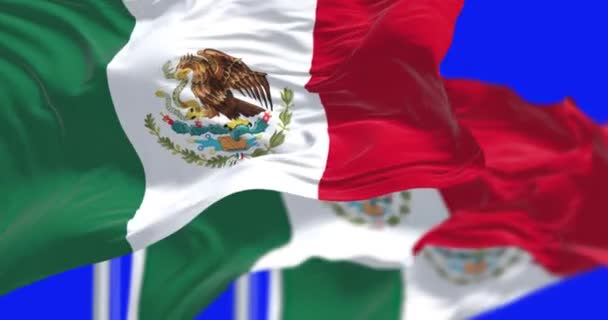Három Mexikói Nemzeti Zászló Lobogott Szélben Kék Háttérrel Elszigetelve Zökkenőmentes — Stock videók