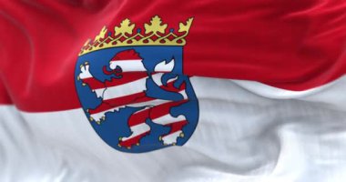 Hesse State bayrağının rüzgarda dalgalanan yakın çekimi. Hesse Almanya 'da bir eyalettir. Kusursuz 3 boyutlu animasyon. Yavaş çekim döngüsü. Seçici odaklanma. Kanat çırpan kumaş. Yakın plan. 4k