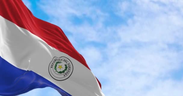 Close Paraguay Flag Waving Seamless Render Animation Slow Motion Loop — Stock Video