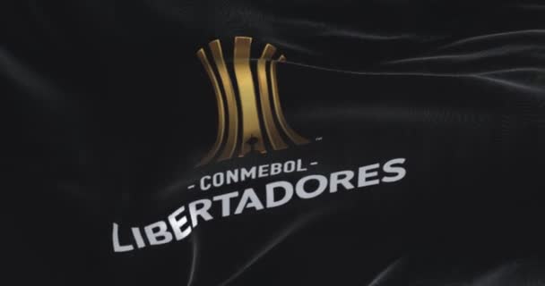 Μπουένος Άιρες Arg Σεπτέμβριος 2022 Conmebol Libertadores Σημαία Κυματίζει Στον — Αρχείο Βίντεο
