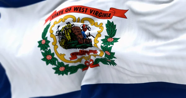Batı Virginia Eyaletinin Rüzgarda Dalgalanan Bayrağının Yakın Çekimi Beyaz Tarla — Stok fotoğraf