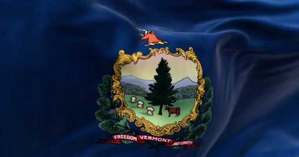 stock image Close-up of the Vermont state flag waving in the wind. Blue background with State coat of arms and motto. 3d illustration render. Selective focus. Fluttering fabric.