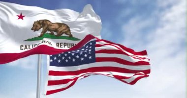 Kaliforniya Cumhuriyeti bayrağı açık bir günde Amerika Birleşik Devletleri bayrağıyla birlikte dalgalanıyor. Kusursuz 3 boyutlu animasyon. Yavaş çekim döngüsü. Kanat çırpan kumaş. 4k