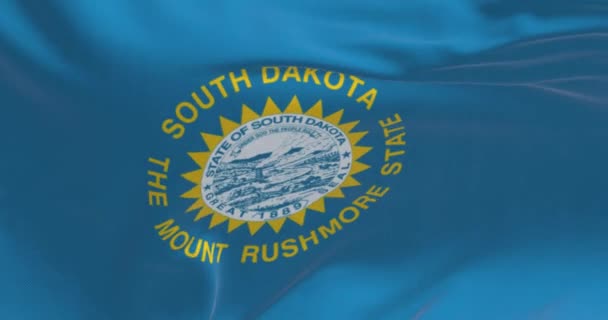 South Dakota Vlag Zwaaiend Hemelsblauw Veld Staatszegel Inscripties Van South — Stockvideo