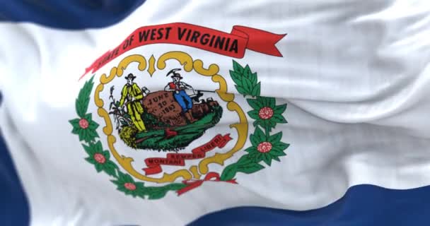 Primo Piano Della Bandiera Dello Stato Della Virginia Occidentale Che — Video Stock