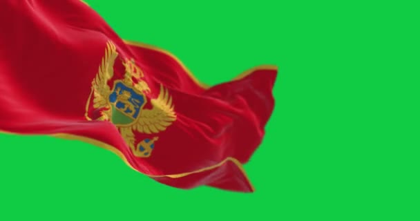 Черногорский Флаг Машет Зеленом Экране Красный Золотой Границей Национального Герба — стоковое видео