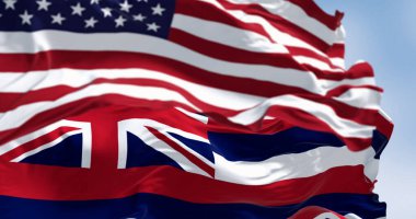 Hawaii eyalet bayrağı açık bir günde Amerika Birleşik Devletleri bayrağıyla dalgalanıyor. 3D illüstrasyon canlandırıcı. Kanat çırpan kumaş. Seçici odak