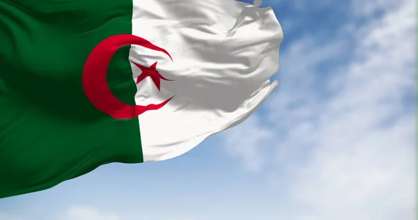 Die Algerische Nationalflagge Weht Einem Klaren Tag Wind Zwei Senkrechte — Stockfoto