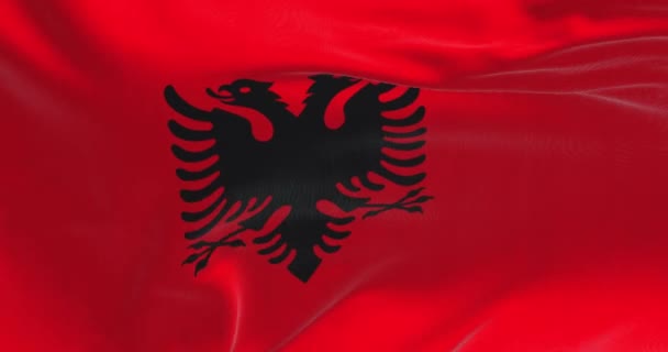アルバニア国旗が手を振っのクローズアップ 黒の2頭のワシと赤の旗 シームレスな3Dレンダリングアニメーション スローモーションループ フラッタリング生地 接近中だ — ストック動画