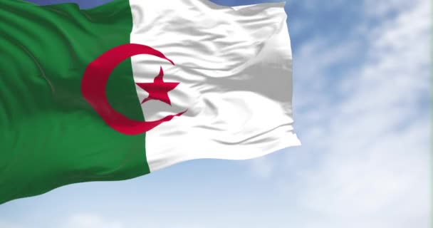 Εθνική Σημαία Της Αλγερίας Κυματίζει Μια Σαφή Ημέρα Δύο Κάθετες — Αρχείο Βίντεο