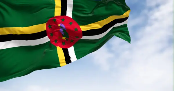 Flaga Dominiki Macha Pogodny Dzień Zielone Pole Krzyż Żółtego Czarnego — Zdjęcie stockowe