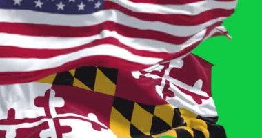 Maryland ve ABD bayrakları yeşil ekranda sallanırken kusursuz döngü. Vatansever ve sembolik bir imaj. Kusursuz 3D canlandırma animasyonu. Yeşil ekran. Krom anahtar. Yavaş çekim döngüsü. 4K çözünürlüğü
