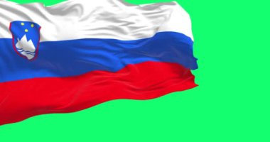 Slovenya ulusal bayrağı yeşil ekranda dalgalanıyor. Üç beyaz şerit, mavi ve kırmızı, üst kaldırmada arma arması var. Kusursuz 3D canlandırma animasyonu. Yeşil ekran. Krom anahtar. Yavaş çekim döngüsü. 4K