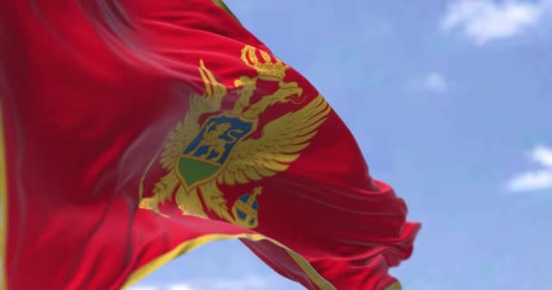 モンテネグロの国旗が晴れた日に手を振っている 黄金の境界線と赤とその中心に腕のコートを持っています シームレスな3Dレンダリングアニメーション スローモーションループ 選択的フォーカス フラッタリング生地 — ストック動画