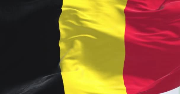 Крупный План Размахивания Флагом Бельгии Три Равные Вертикальные Полосы Чёрная — стоковое видео