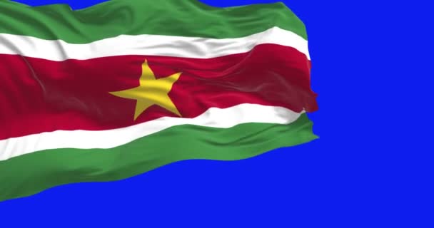 Bandera Nacional Surinam Ondeando Pantalla Azul Bandas Horizontales Verde Blanco — Vídeo de stock