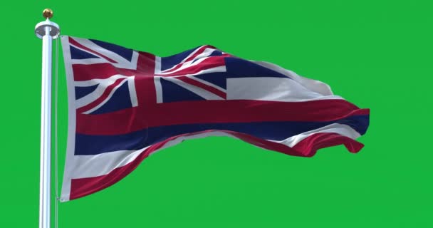 Σημαία Της Χαβάης Κυματίζει Πράσινο Φόντο Οκτώ Οριζόντιες Ρίγες Λευκό — Αρχείο Βίντεο