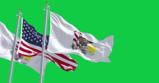 伊利诺伊州的国旗与美利坚合众国国旗一道在绿色背景下飘扬 无缝3D渲染动画 绿色屏幕 慢动作回圈4K — 图库视频影像
