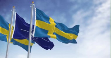 Brüksel, BL, 10 Temmuz 2023: İsveç ve NATO bayrakları rüzgarda sallanıyor. Kusursuz 3 boyutlu animasyon. Yavaş çekim döngüsü. Seçici odaklanma. Kanat çırpan kumaş. 4k
